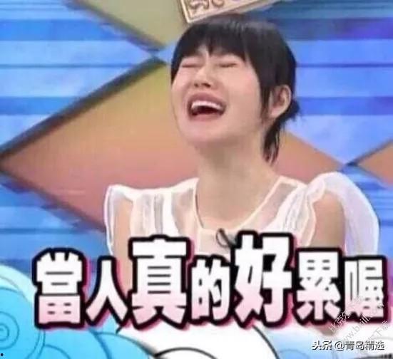 娱乐圈吃瓜短剧推荐文,那些你不知道的吃瓜短剧大放送！