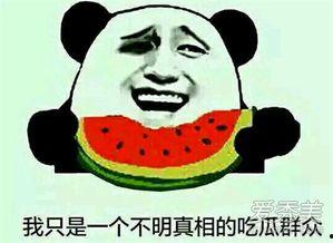 娱乐吃瓜的本质是啥啊