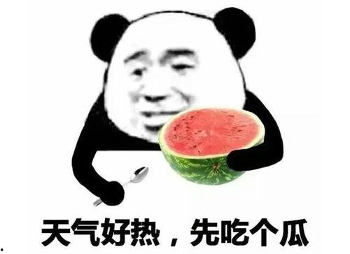 娱乐吃瓜酱表情包图片,趣味横生的网络潮流