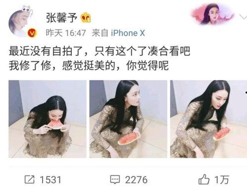 兔兔吃瓜娱乐新浪博客,新浪博客带你领略娱乐新风尚